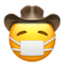 mask_cowboy.png