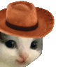 mmeowdy.gif