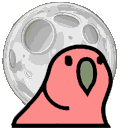 moonparrot.gif