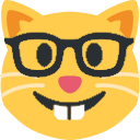 nerdcat.png