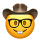 nerdy_cowboy.png