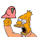 old-man-yells-at-parrot.gif