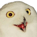 orly.png