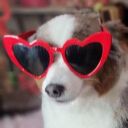 otto-heart-glasses.jpeg