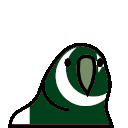 pakistanparrot.gif