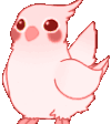 party-birb.gif