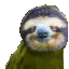 party_sloth.gif