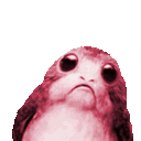 partyporg.gif