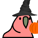 pumpkin_parrot.gif