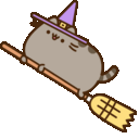 pusheen-witch-broom.gif