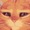 pussinbootseyes.gif