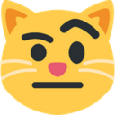 raisedeyebrowcat.png
