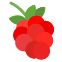 raspberry.png