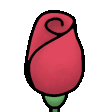 rose-bloom.gif