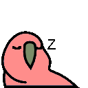 sleepingparrot.gif