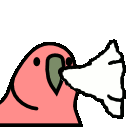 sneezyparrot.gif