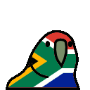 southafricaparrot.gif