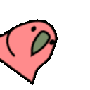 spinningparrot.gif