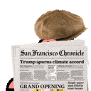 spyparrot.gif
