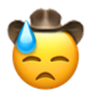 sweating_cowboy.png