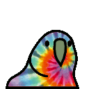 tiedyeparrot.gif