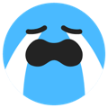 tiktokcry.png