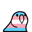 trans-parrot.gif