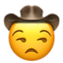 unamused_cowboy.png