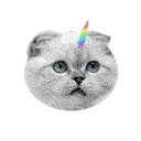 unicat.gif