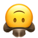 upside_down_cowboy.png