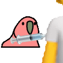 vaccineparrot.gif