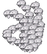 walkingbearok.gif