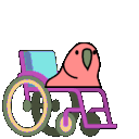 wheelchair_parrot.gif
