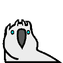 whitewalkerparrot.gif
