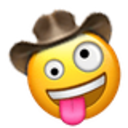 zany_cowboy.png