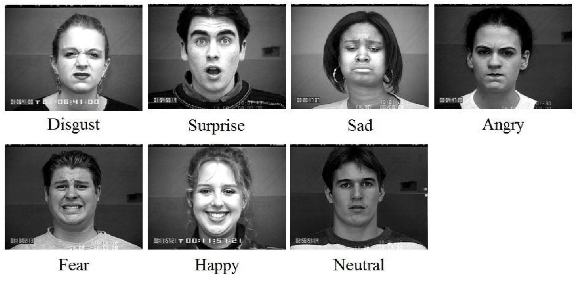 带标签的 FER 图像