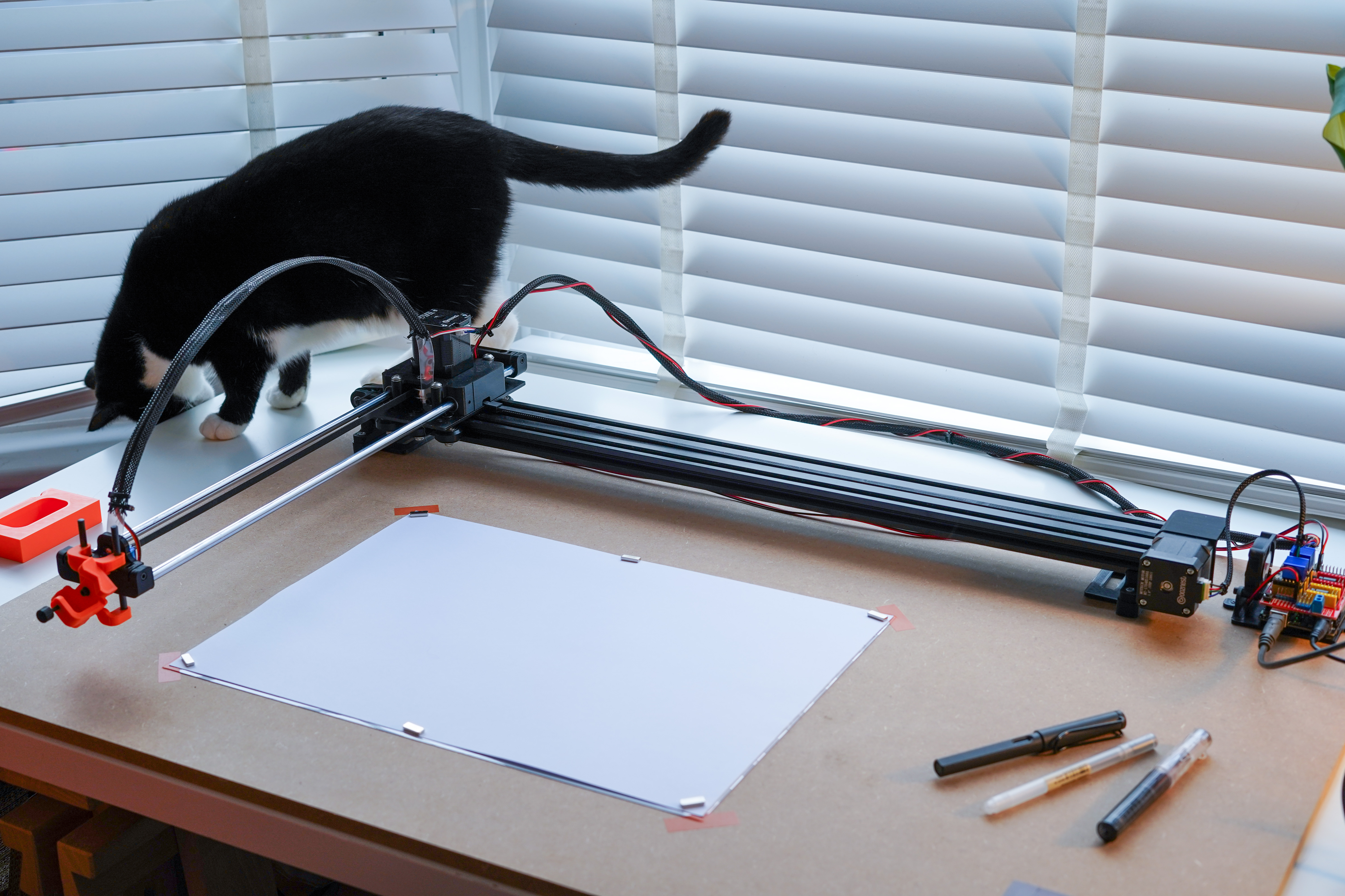 a cat interfering with plotter setup