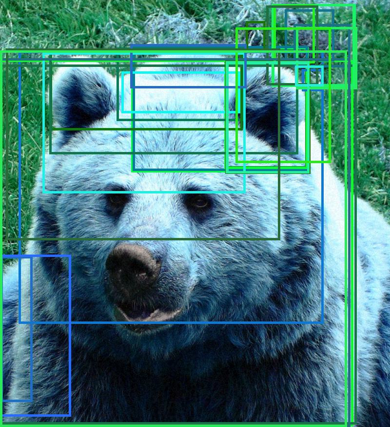 adv_img_bboxes.jpg