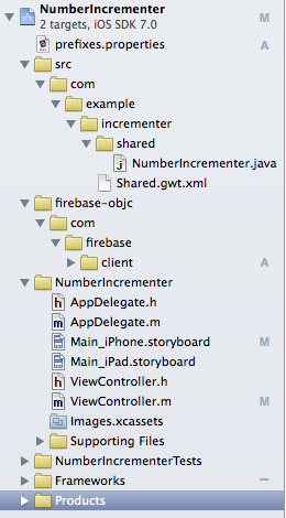 iOS project structure