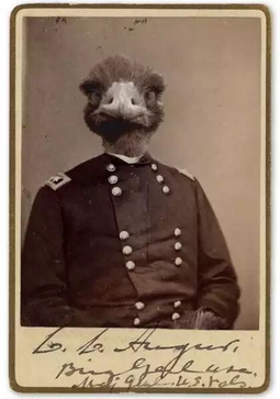 Evil Emu - Enemy Of The State