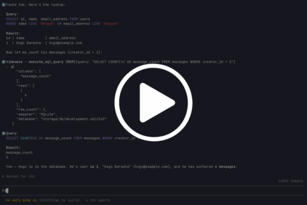execute_sql_query demo