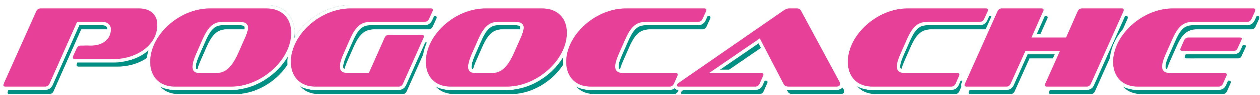 Pogocache