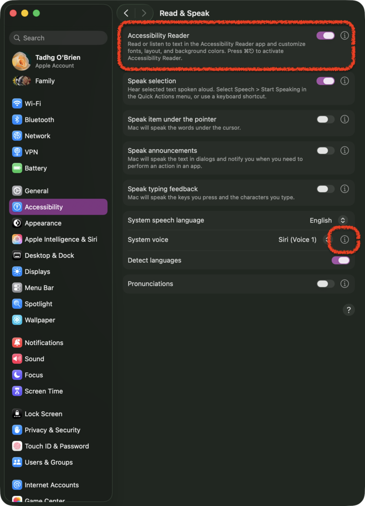 Accessibility Reader enabled, with the info button beside System voice highlighted