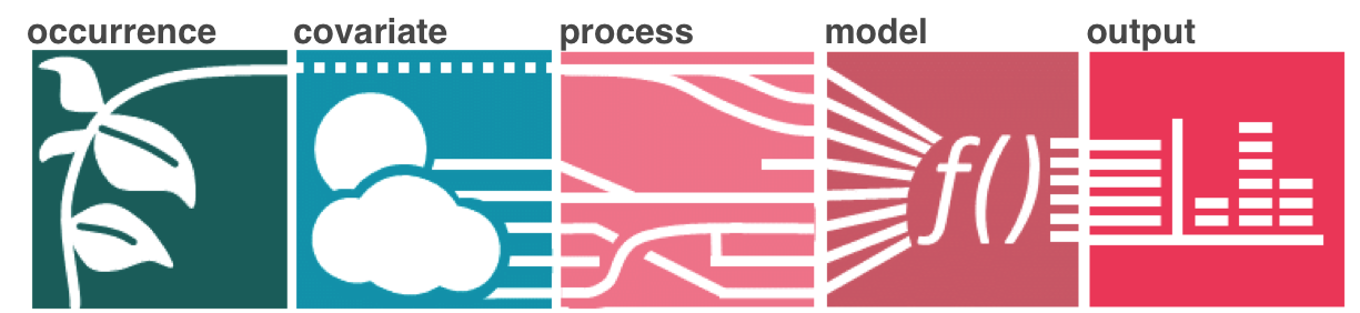 Zoon workflow