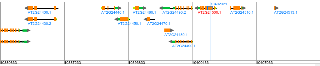 GeneViewer