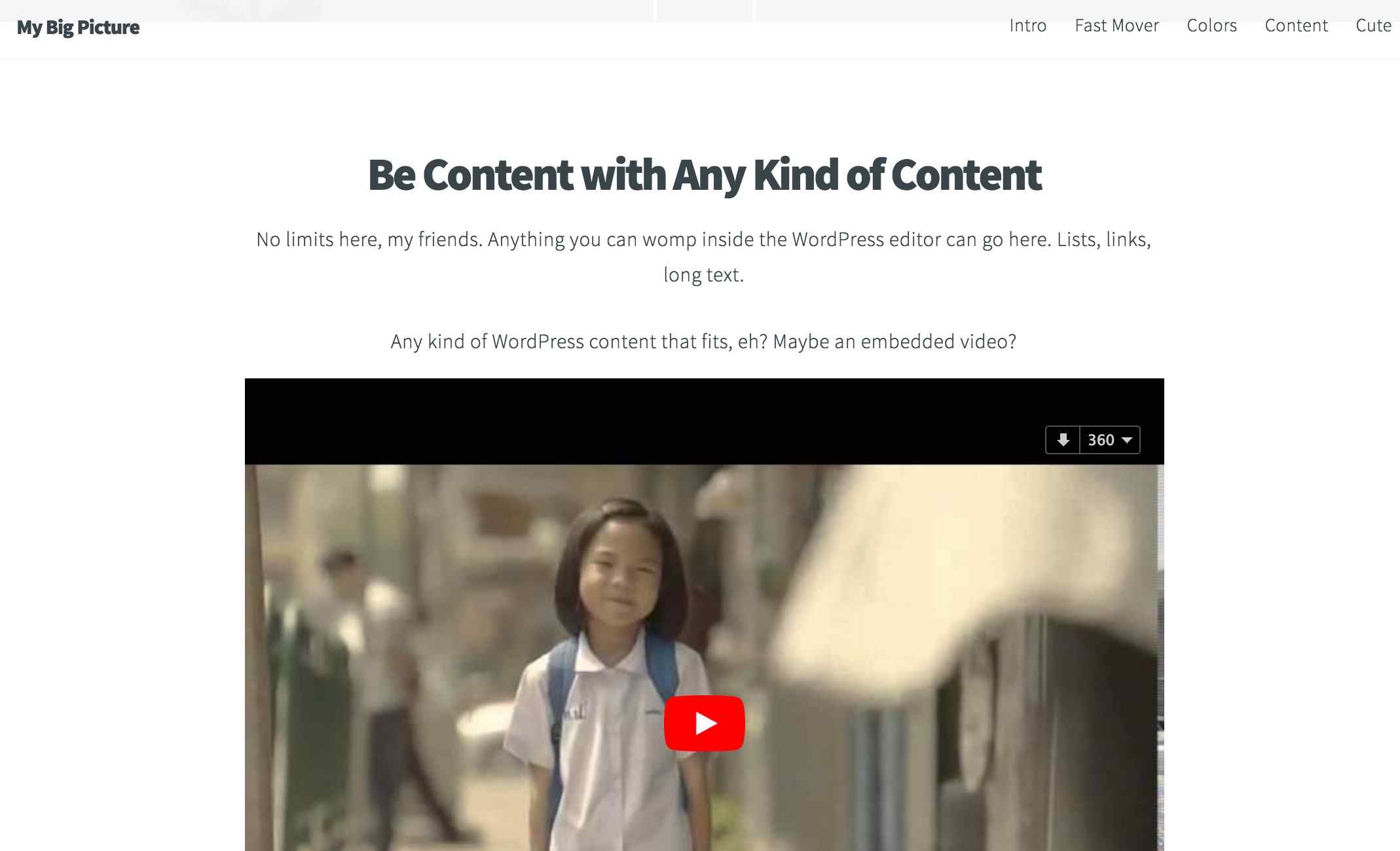 Wordpress content display