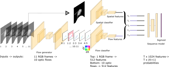 deepethogram schematic