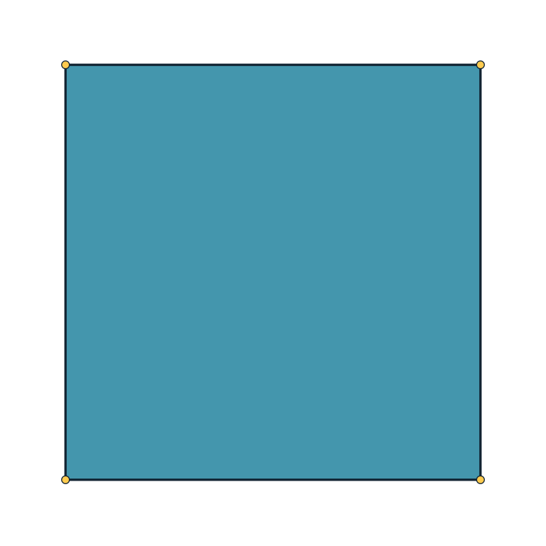 Filled square with visible edges and vertices