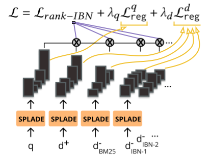 splade training