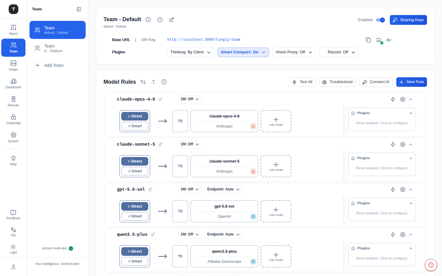 Team page with base URL, plugins and model rules routing each model to a provider